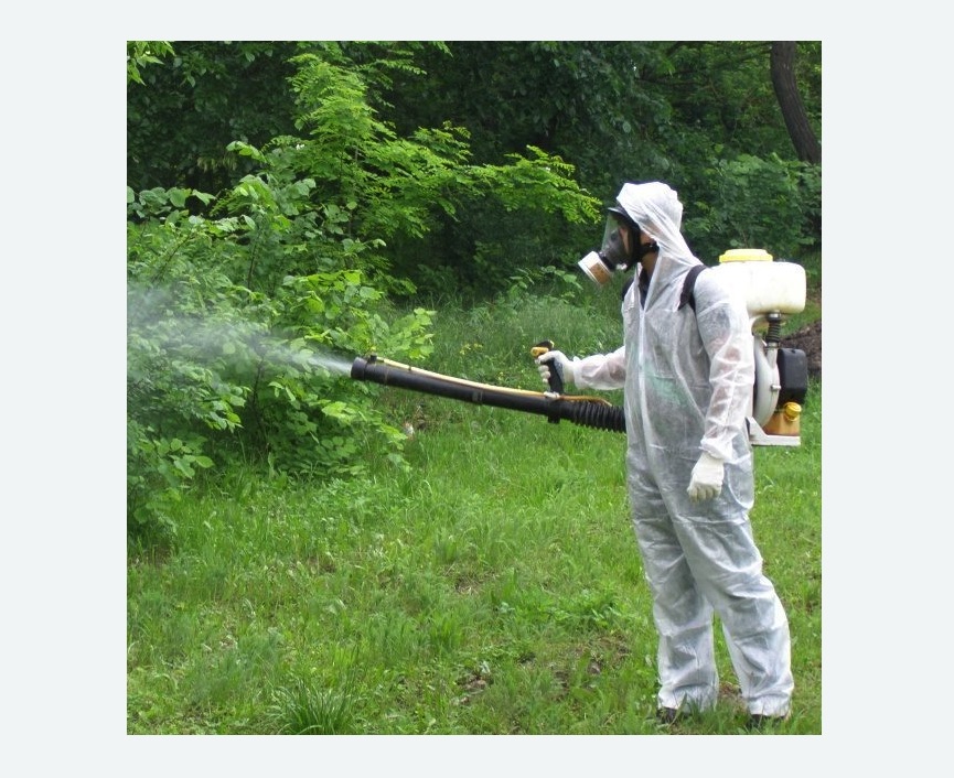 обработка территории от клещей в Кисловодске