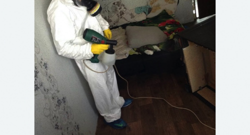 Обработка квартир от насекомых в Кисловодске