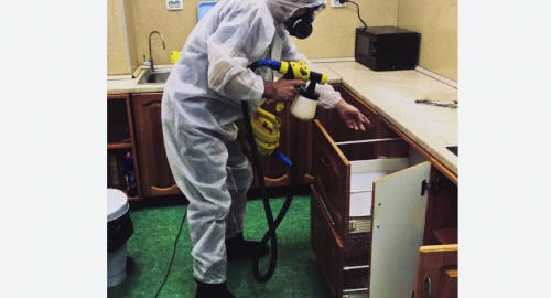 Дезинсекция квартиры. Кисловодск
