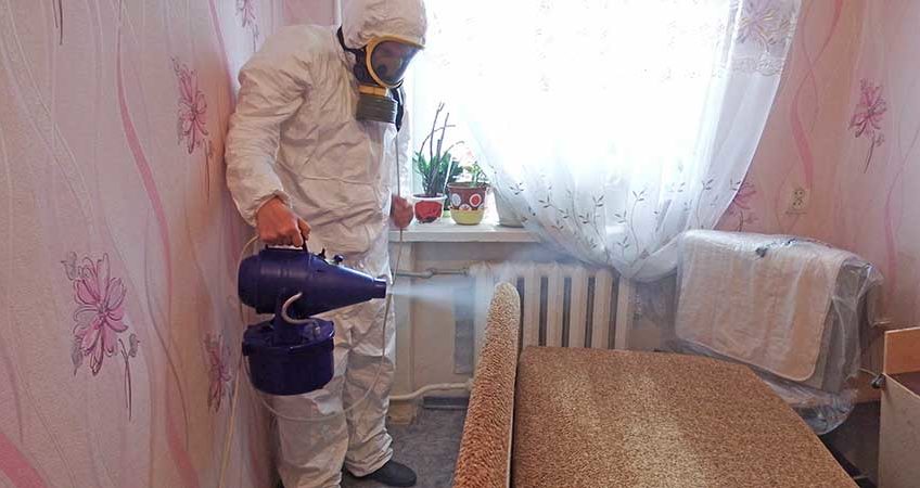 Уничтожение клопов паром Уничтожение клопов газом
