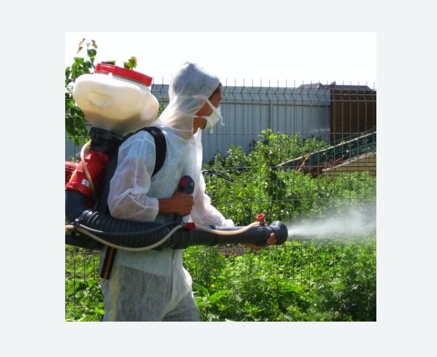 Акарицидная обработка территории в Кисловодске