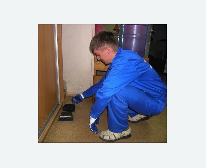 Дератизация крыс в Кисловодске