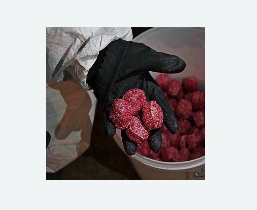 Обработка от крыс в Кисловодске