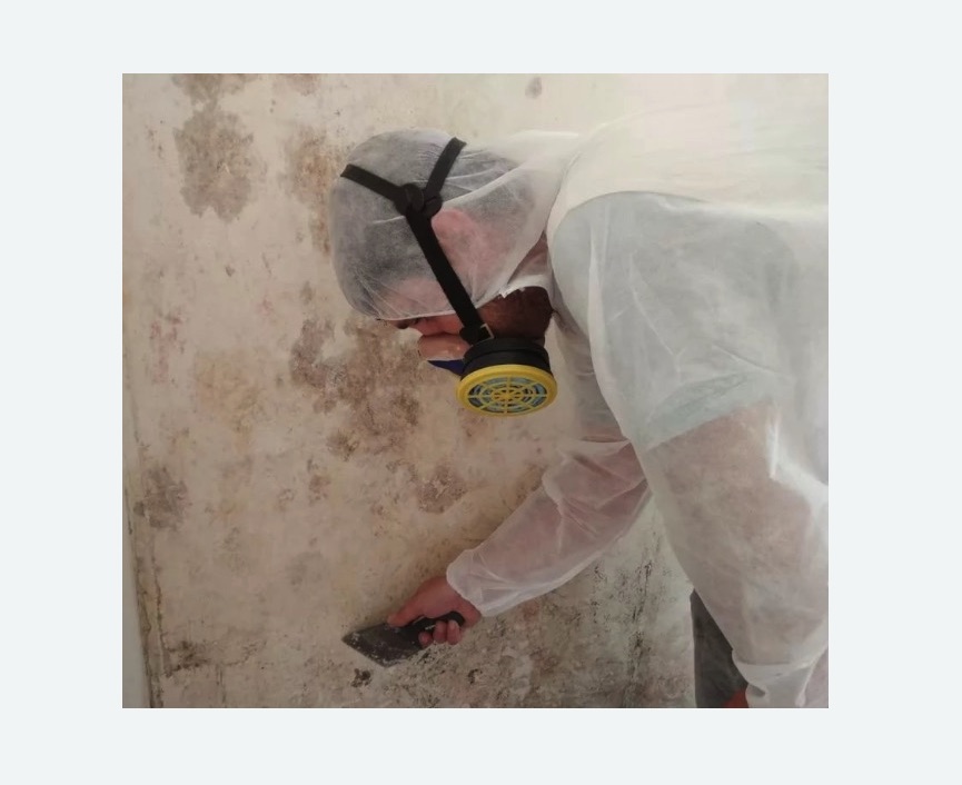 Обработка стен от плесени Обработка стен от плесени в Кисловодске