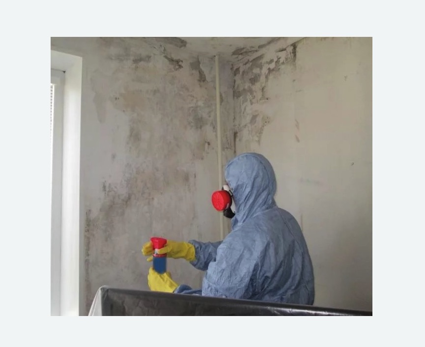Удаление плесени в квартире Удаление плесени в квартире в Кисловодске