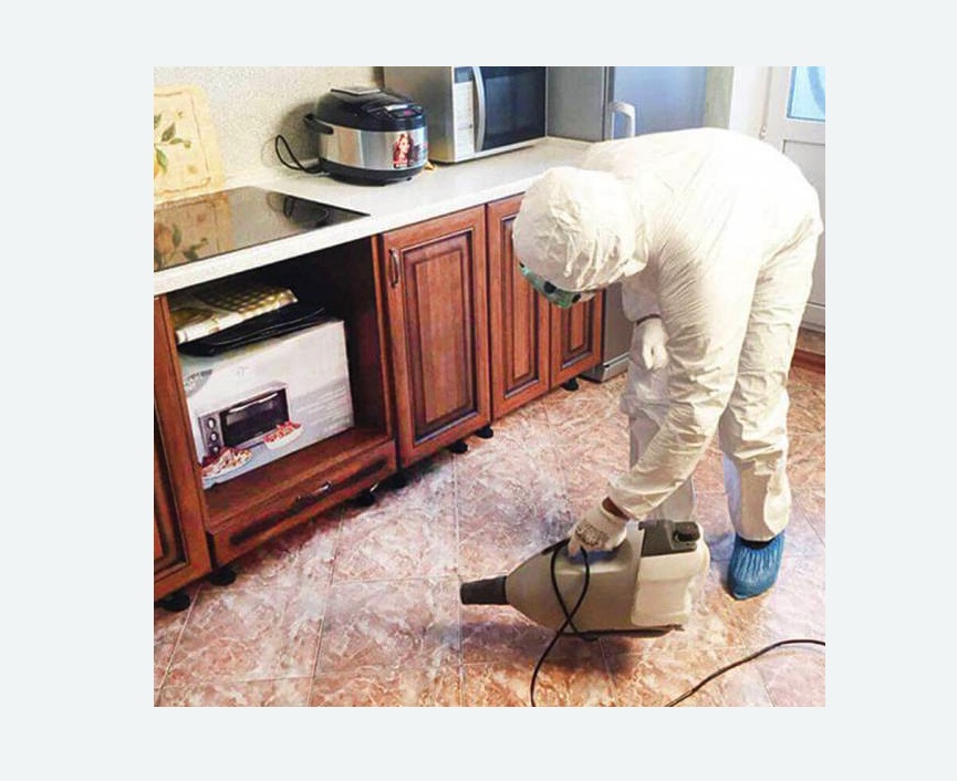 обработка квартиры от клопов в Кисловодске обработка квартиры от клопов