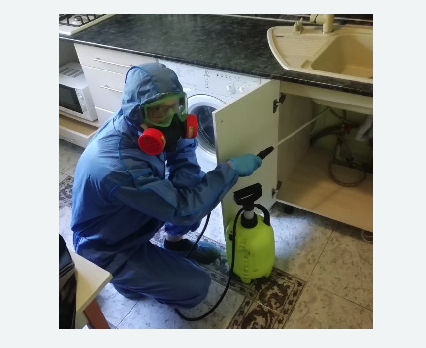 обработка от муравьев в квартире обработка от муравьев в квартире в Кисловодске