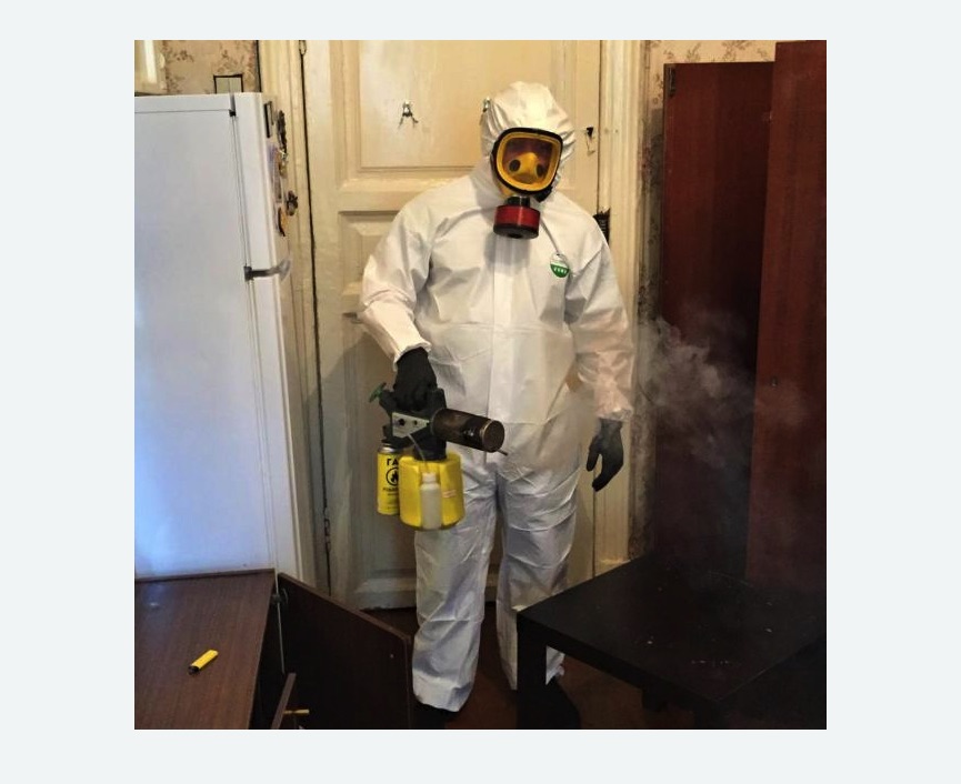 уничтожение муравьев в квартире уничтожение муравьев в квартире в Кисловодске